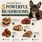 Turkey Tail Mushroom for Dogs - Suplemento de Hongos Orgánicos para Perros - 90 Chews Blandos