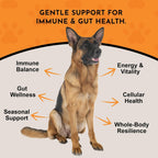 Animal Essentials Combat - Suplemento de Cola de Pavo Orgánico para Perros y Gatos - Defensa Inmune Crítica, Apoya la Función Cognitiva, Extracto en Polvo - 70 g