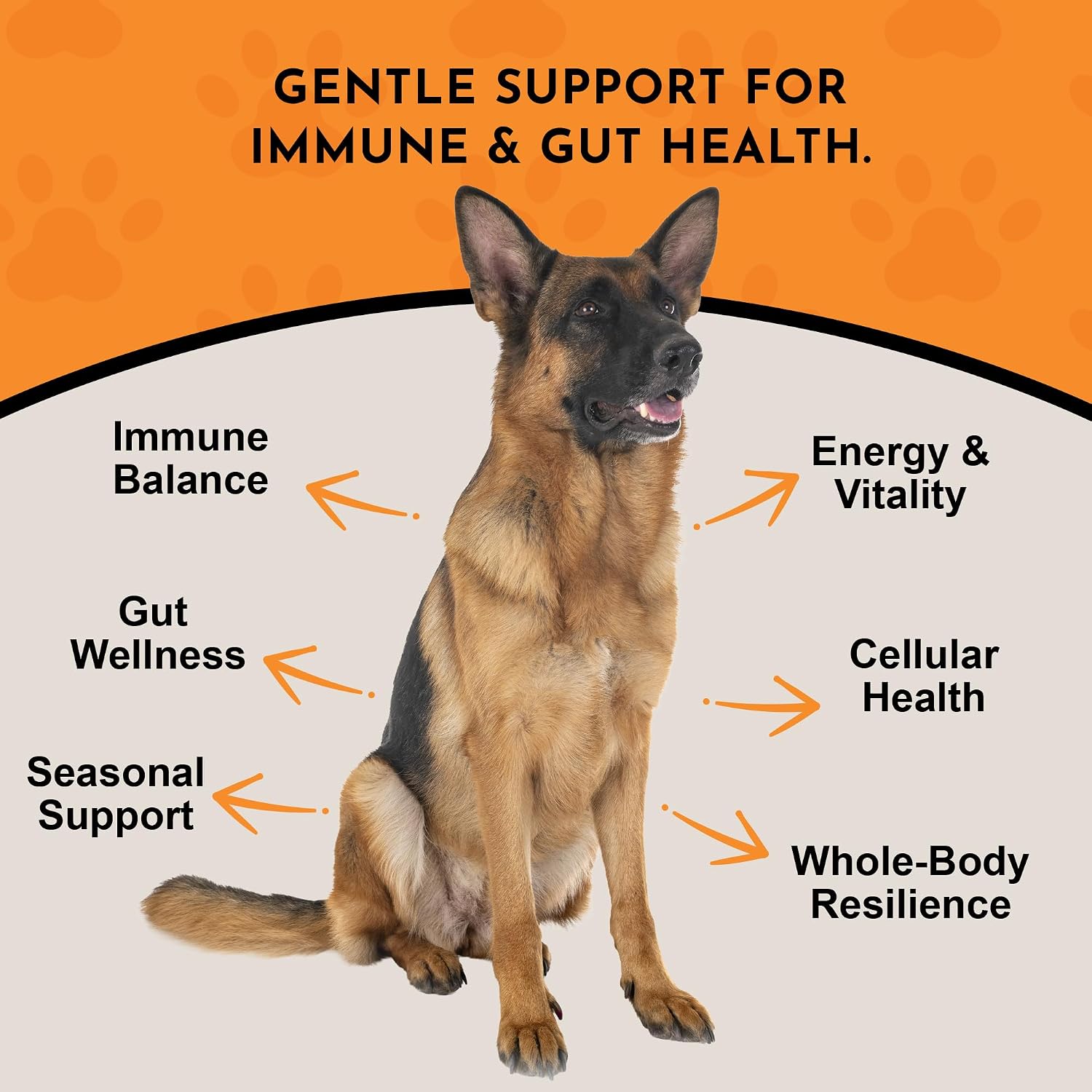 Animal Essentials Combat - Suplemento de Cola de Pavo Orgánico para Perros y Gatos - Defensa Inmune Crítica, Apoya la Función Cognitiva, Extracto en Polvo - 70 g