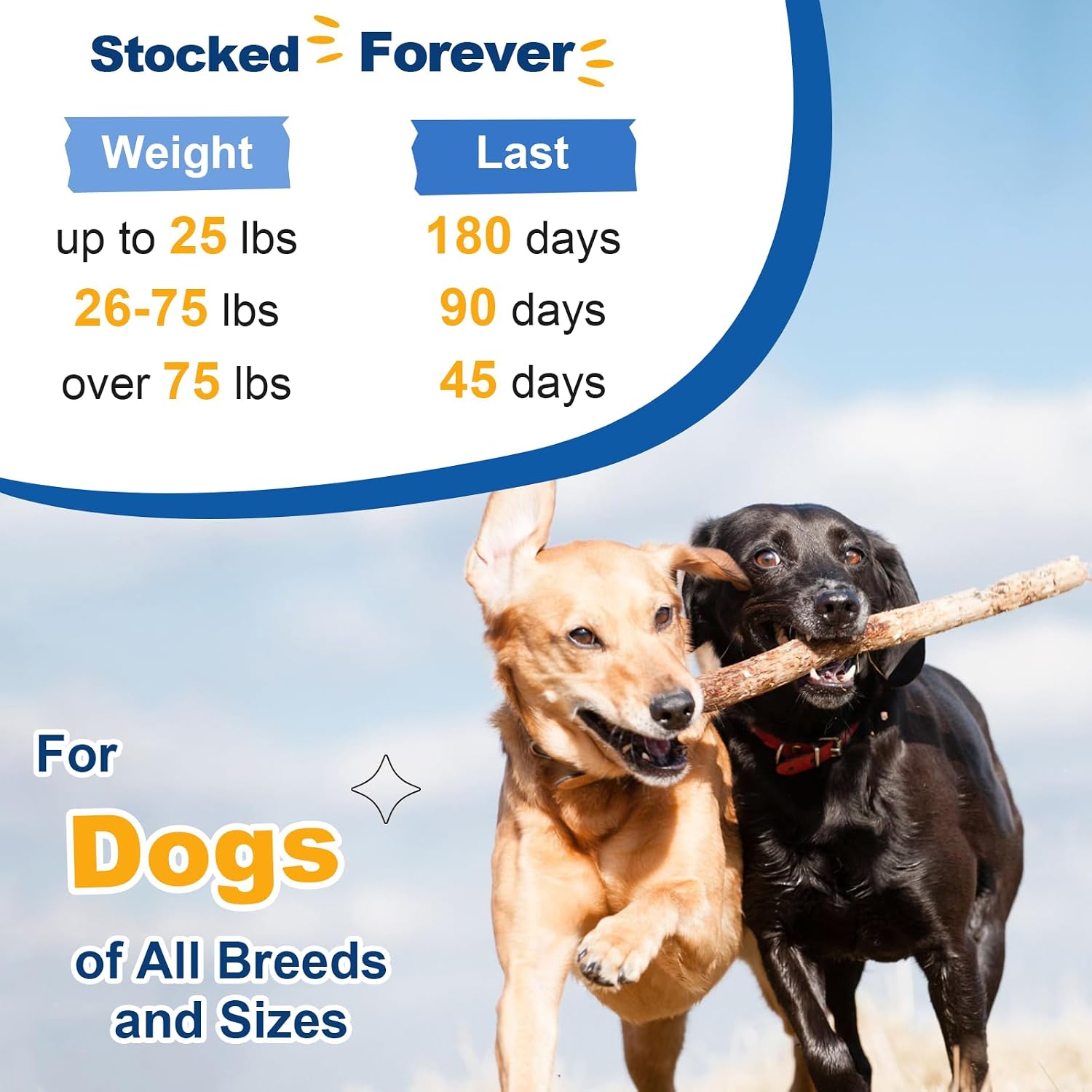 Multivitamínico en polvo para perros con probióticos, glucosamina y omega 3