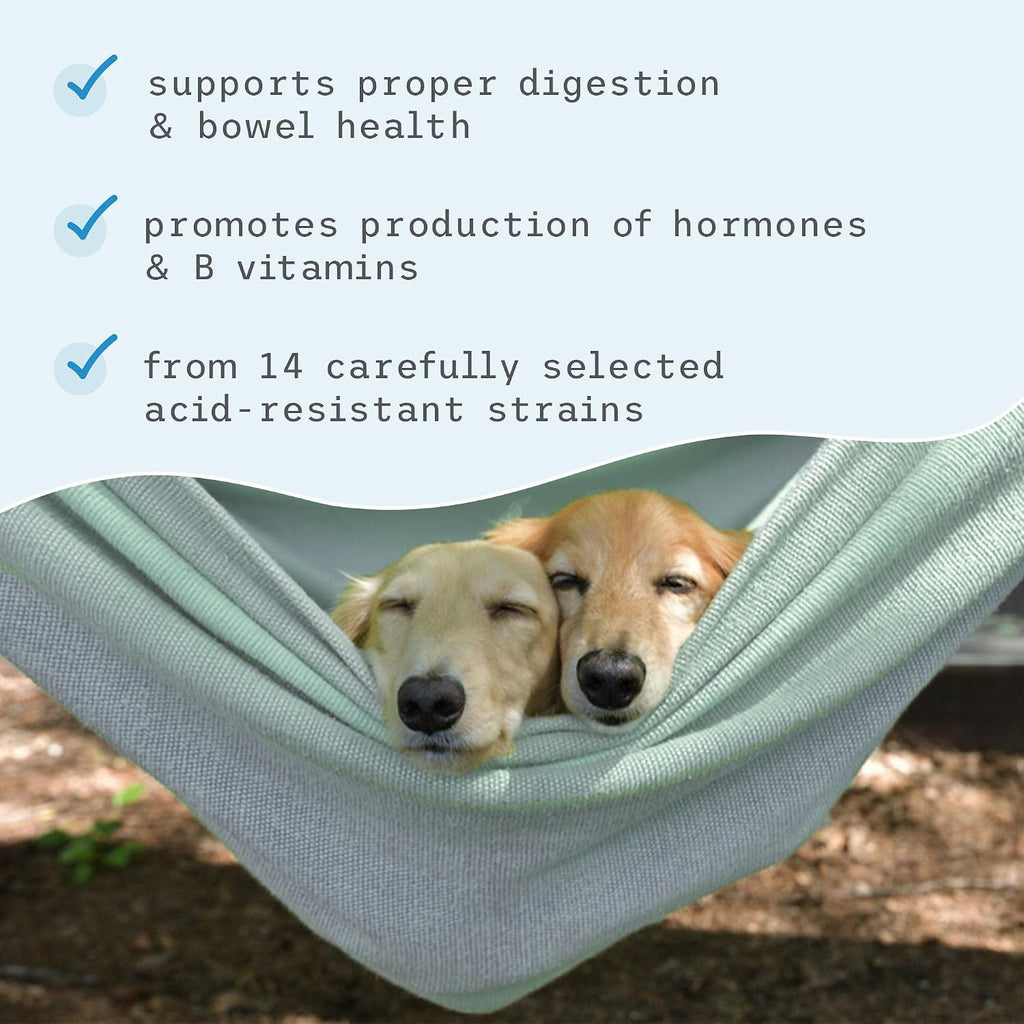 Bark & Whiskers, Probióticos Completos para Perros y Gatos, 90 g
