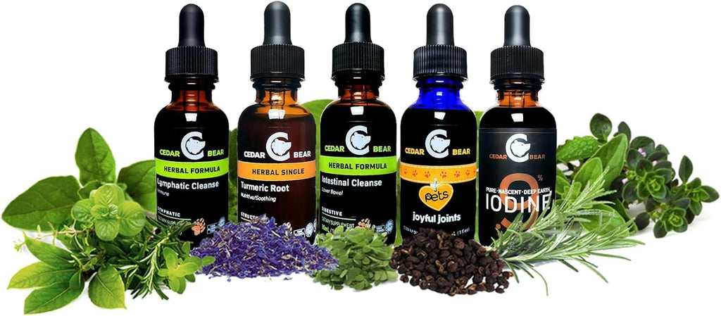 Cedar Bear Brain Booster, Complemento Herbal Líquido para Memoria y Vitalidad, 59 ml