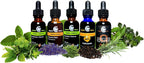 Cedar Bear Brain Booster - Suplemento Herbal Líquido para Memoria y Vitalidad, 30 ml