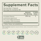 Prominent Nutrition Fucoidan 250 mg – 60 Cápsulas – Extracto de Alga Parda Premium para el Apoyo Digestivo e Inmune
