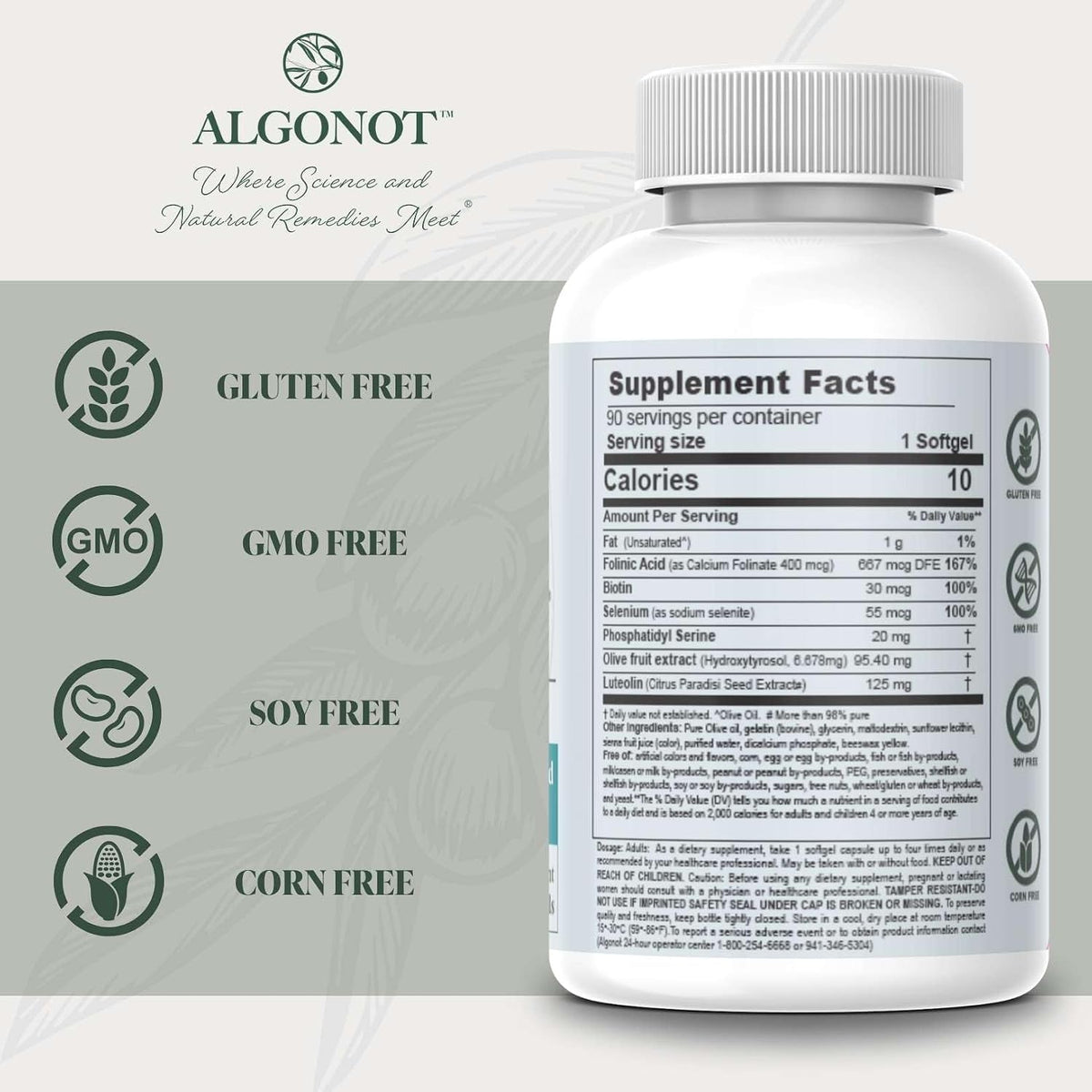 BrainGain, Luteolina e Ingredientes Clave – Biotina (vitamina B7): Contribuye al metabolismo energético normal y – Image 3