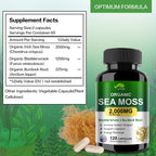 VPKIN Cápsulas de Musgo Marino Orgánico con Fucus, Raíz de Bardana y Extracto de Pimienta Negra - 2000mg por Ración - 120 Cápsulas