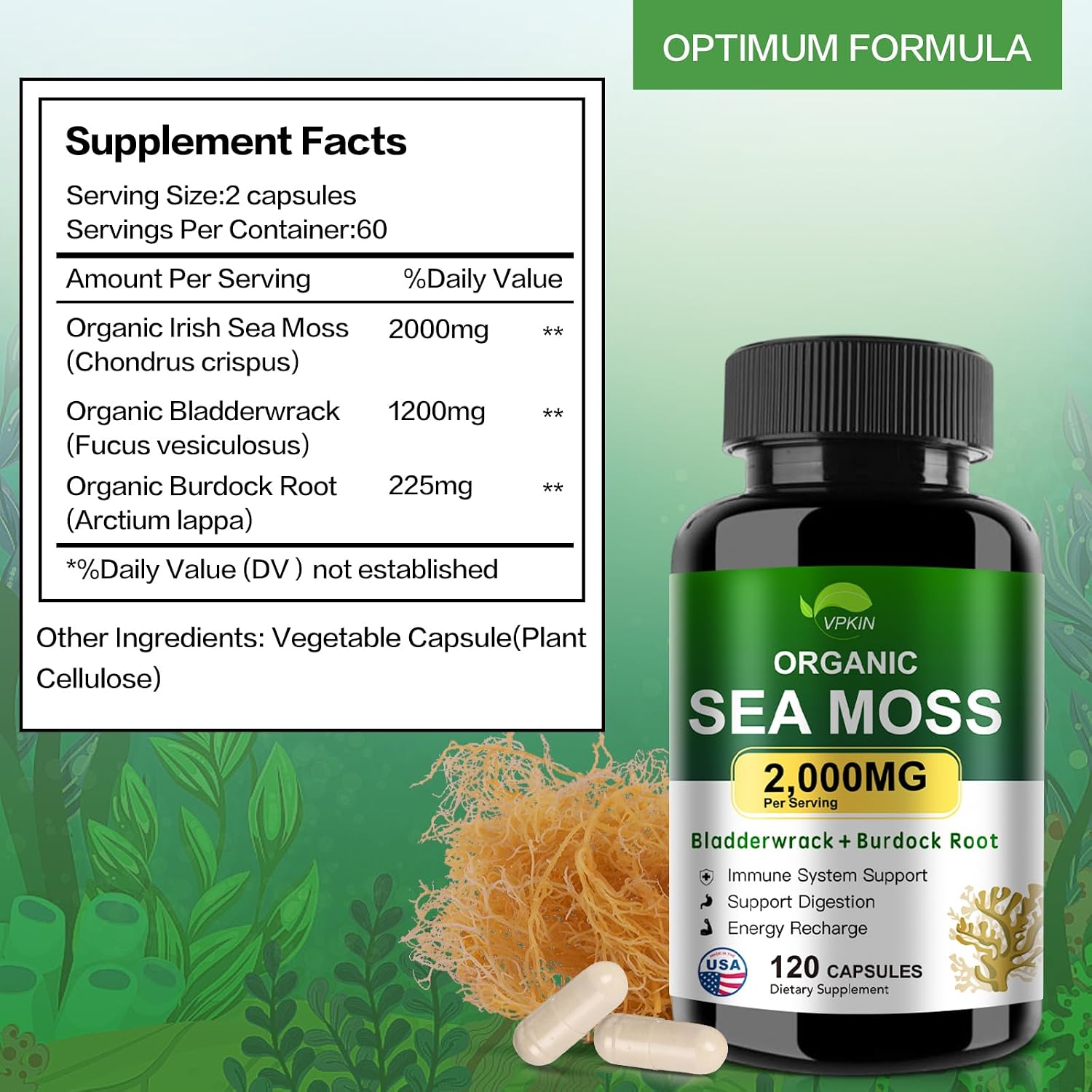 VPKIN Cápsulas de Musgo Marino Orgánico con Fucus, Raíz de Bardana y Extracto de Pimienta Negra - 2000mg por Ración - 120 Cápsulas