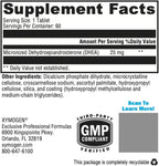 XYMOGEN DHEA Micronizada - 25 mg de Dehidroepiandrosterona - Apoyo Hormonal - Sin Gluten, Soja y Lácteos - 60 Comprimidos