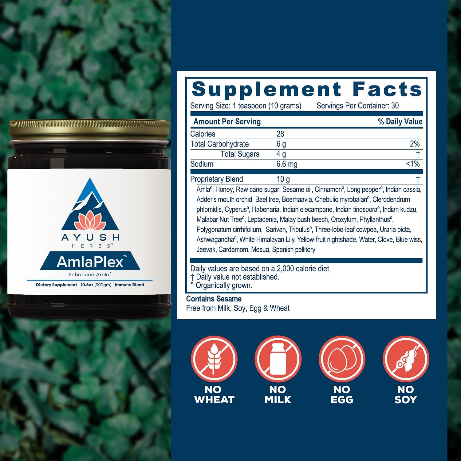 Ayush Herbs AmlaPlex - Mermelada de Amla (Chyavanprash) con Ashwagandha - 30 dosis