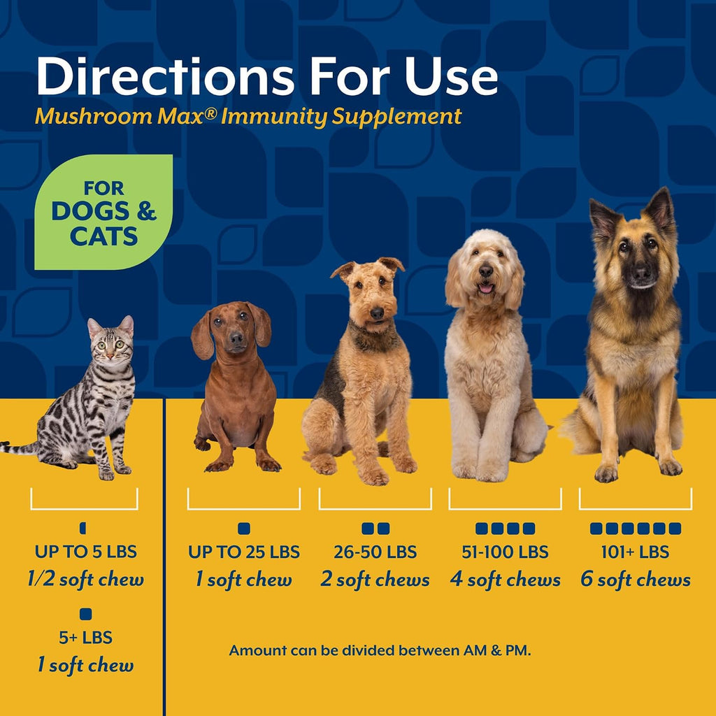 NaturVet Mushroom Max Advanced Immune Support – Suplemento para Perros (60 comprimidos)