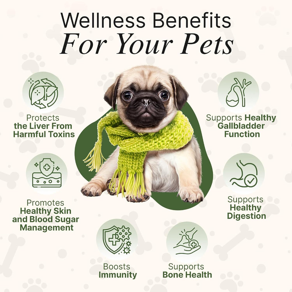 Milk Thistle para Perros y Gatos - Limpieza Hepática y Soporte Renal con Diente de León | Sabor Bacon | 60 ml