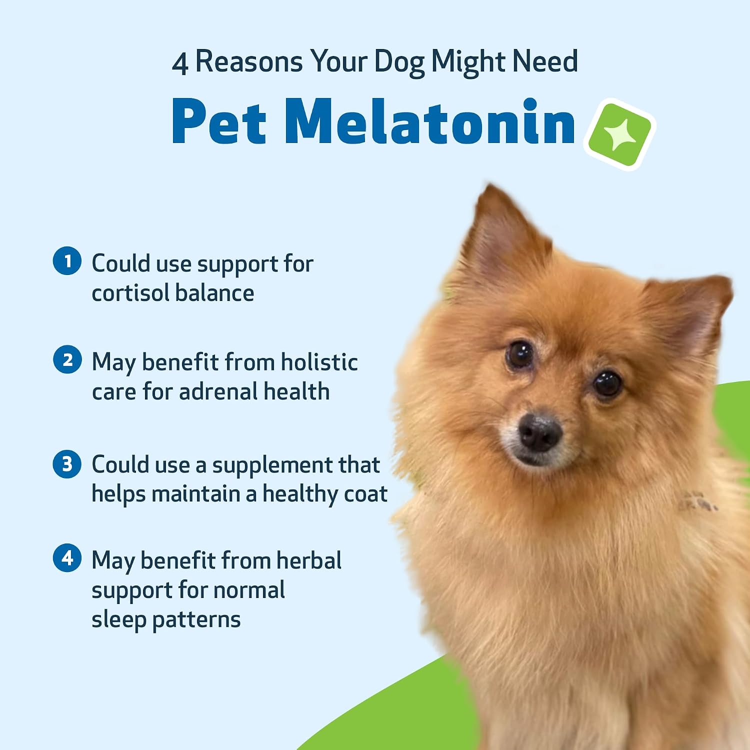 Pet Wellbeing Melatonina para Perros - Suplemento Líquido para la Salud Adrenal y el Equilibrio de Cortisol - 59 ml (2 oz)