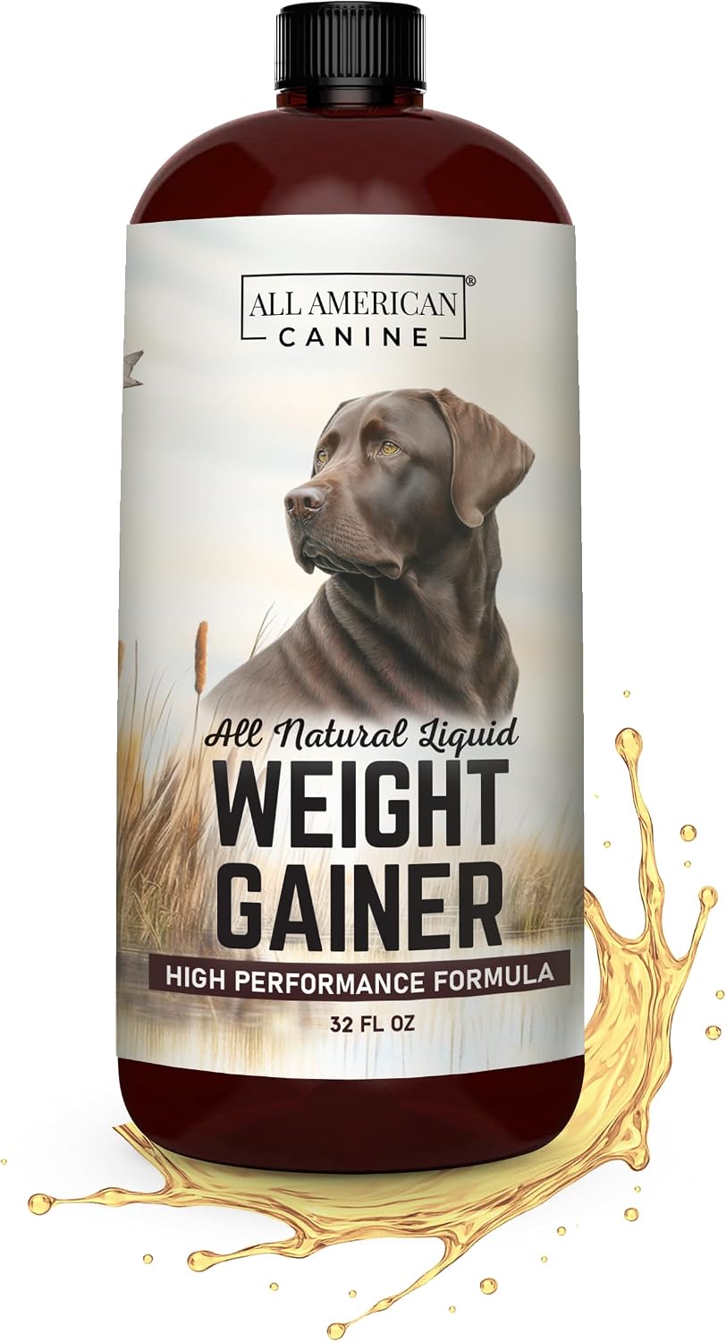 All American Canine Perro Weight Gainer Líquido – Suplemento de Altas Calorías para el Aumento de Peso, Masa y Recuperación – Estimulante del Apetito (473 ml)