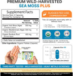 Power By Naturals Sea Moss Plus – Cápsulas Orgánicas de Musgo Irlandés con Bladderwrack y Bardana – 60 Cápsulas (1 Mes)