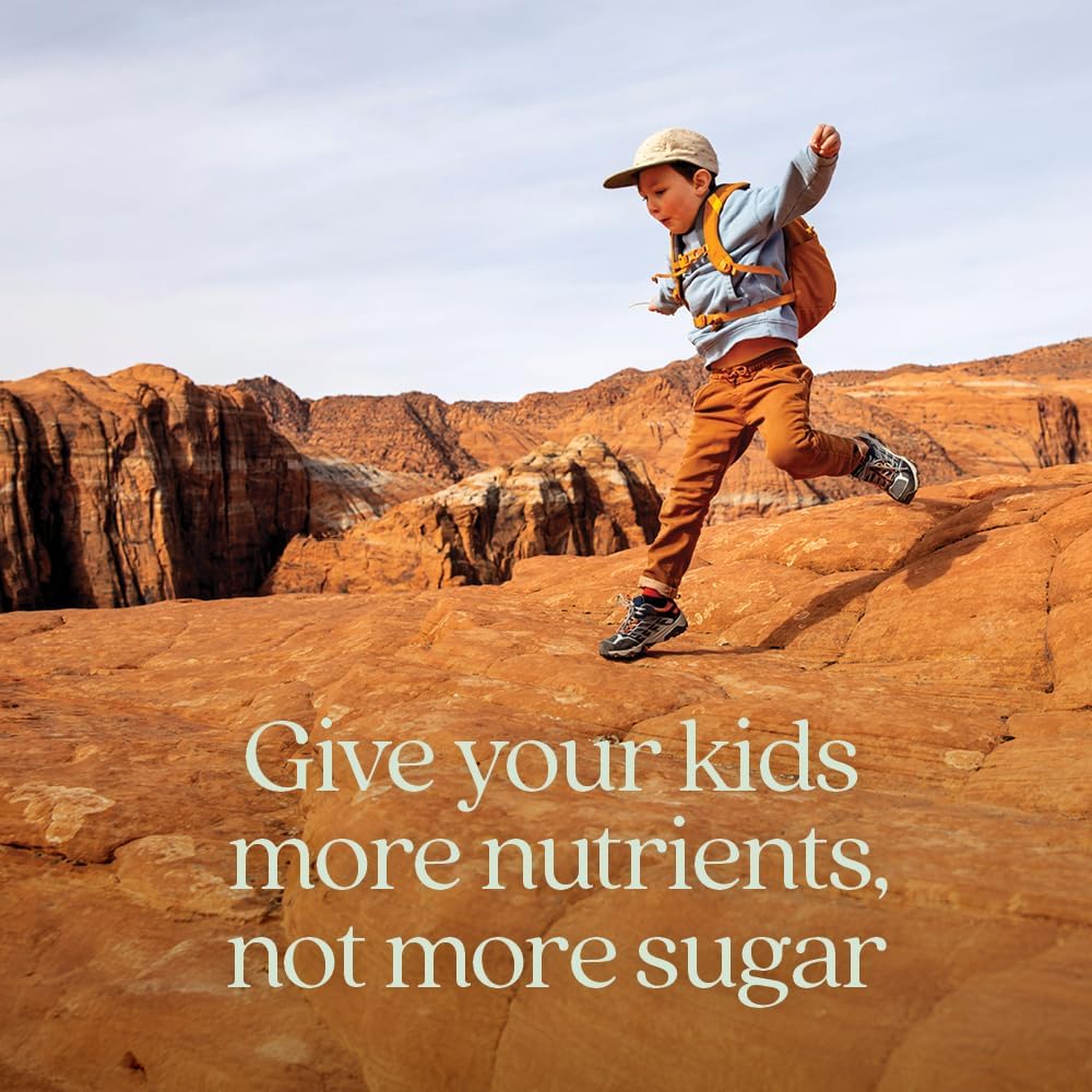 New Chapter Kids Multivitamin Gummies - 65% Menos Azúcar, Gomitas Multivitamínicas para Niños con Vitaminas C, D3 y Zinc, No GMO, Sin Gluten, Sabor Baya-Cítrica, 60 unidades