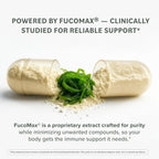 Prominent Nutrition Fucoidan 250 mg – 60 Cápsulas – Extracto de Alga Parda Premium para el Apoyo Digestivo e Inmune