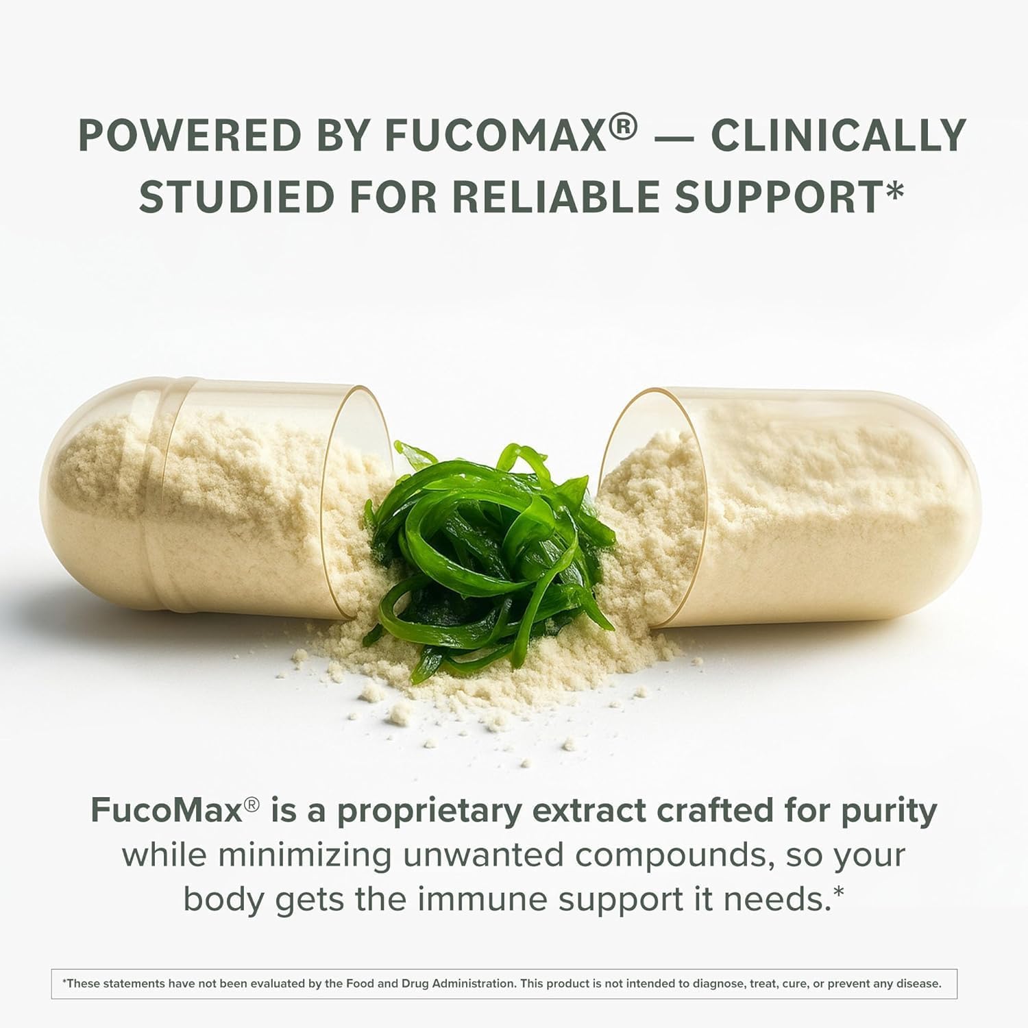 Prominent Nutrition Fucoidan 250 mg – 60 Cápsulas – Extracto de Alga Parda Premium para el Apoyo Digestivo e Inmune