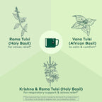 ORGANIC INDIA Té de Tulsi Original - Infusión de Albahaca Sagrada y Albahaca Africana, Relajante, Sin Cafeína - 18 Bolsitas, Pack de 3