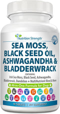 Nutrition Strength Sea Moss para Perros - 17-en-1 Apoyo Inmunidad, Piel y Pelaje con Aceite de Semilla Negra, Ashwagandha y Cúrcuma - 90 Comprimidos Masticables