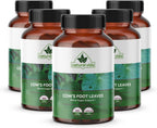 Natural Vida Pata de Vaca – Hojas de Pata de Vaca – 100 Cápsulas Vegetales – 1500mg por Dosis