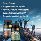AyBet Sea Moss y Shilajit del Himalaya – Fórmula Herbal 22 en 1 con Ashwagandha, Cúrcuma, Jengibre – Minerales y Antioxidantes – Cápsulas Orgánicas, Halal, Veganas – 120 Unidades