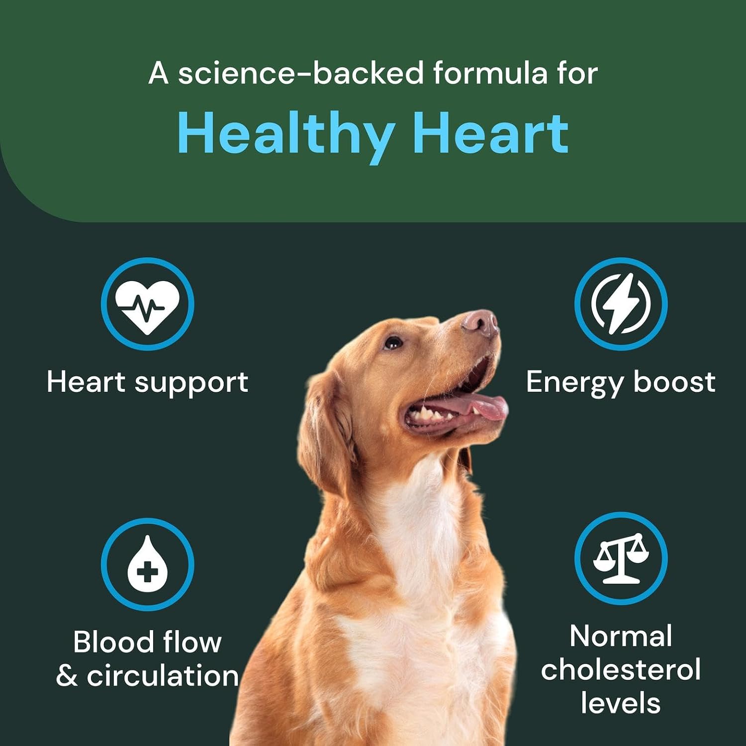 VETRISCIENCE Veterinary Strength Healthy Heart Chews, Suplemento cardíaco para perros y gatos, sabor a pollo, 60 unidades