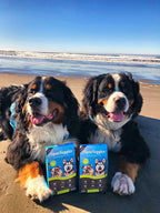Superfood del Mar para Mascotas - 30 Sobres Diarios de 4g para Perros Medianos y Grandes (120g, Mes de Suministro)