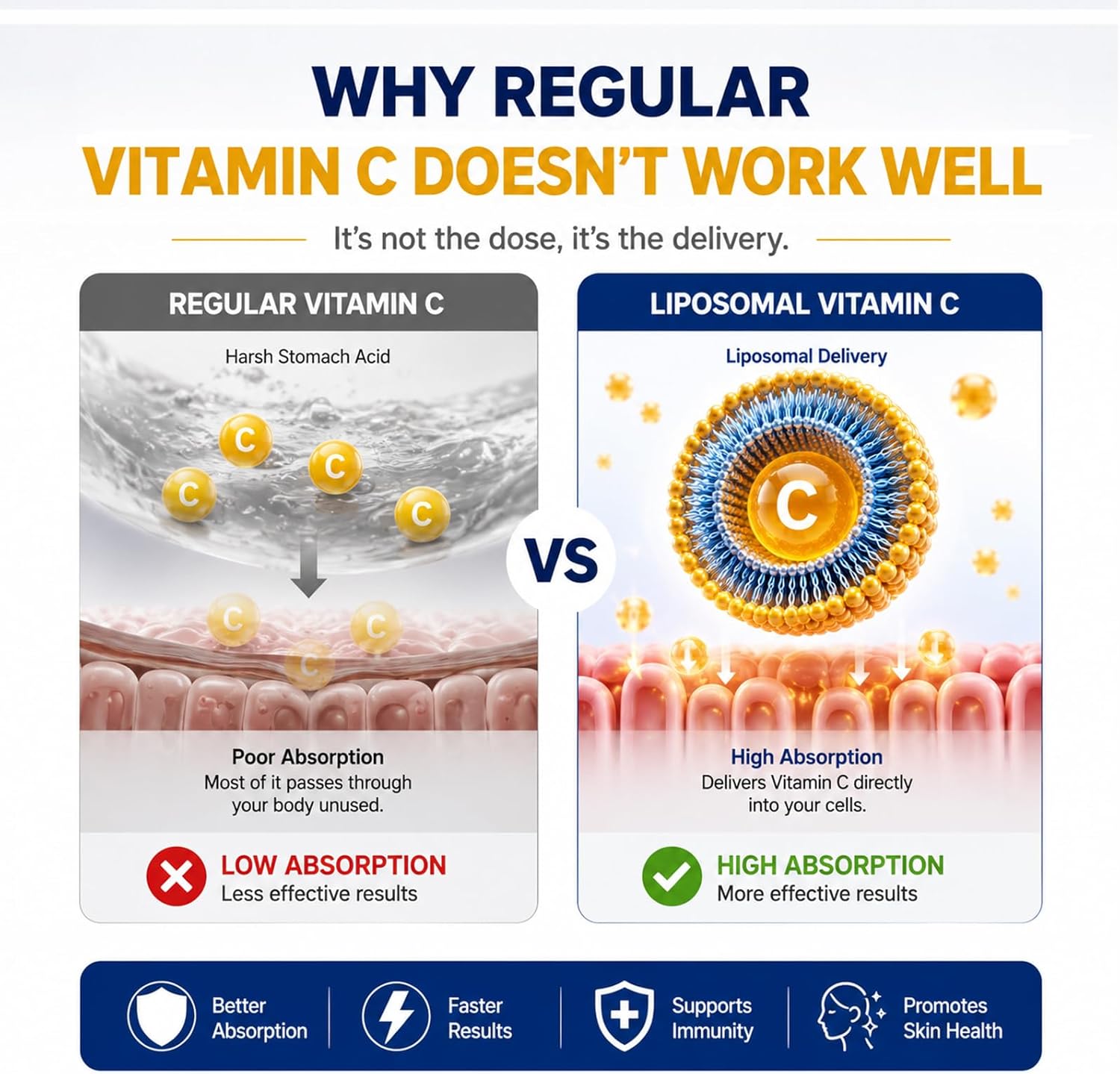 Cellqueue Vitamina C Liposomal Líquida 500 mg - Alta Absorción, Apoyo Inmunológico, Producción de Colágeno, Antioxidante, Suave para el Estómago, 50 ml