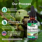 Nature's Answer Black Walnut and Wormwood Complex - Extracto Líquido Super Concentrado 2000 mg - Vegano, Sin Gluten, Sin Alcohol - 1 Fl Oz (Pack de 2)