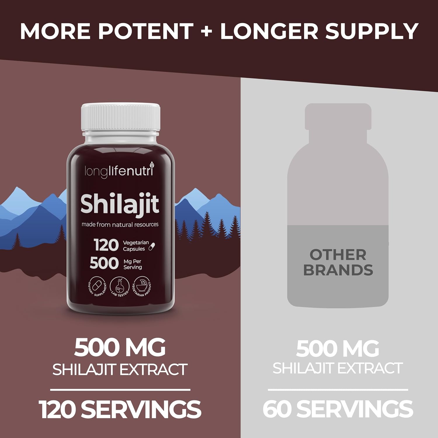 Shilajit Puro del Himalaya 500mg con Ácido Fúlvico 15% | 120 Cápsulas Vegetales | Suplemento para Vitalidad y Claridad Mental