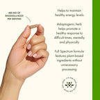 Swanson Rhodiola Rosea Root - 4 mg, 100 Cápsulas