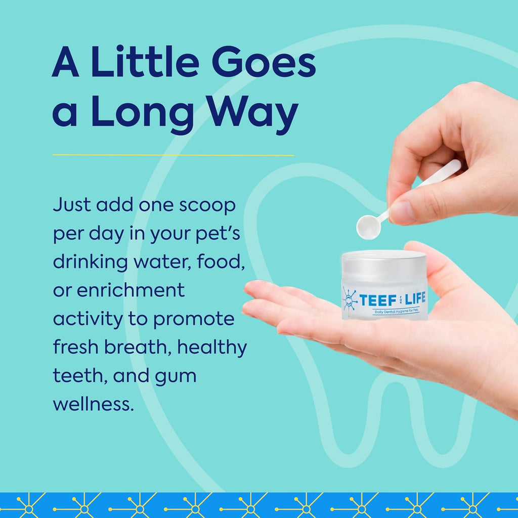 TEEF FOR LIFE Protektin42 Polvo Dental Prebiótico para Perros - 90 Dosis (3 Paquetes)