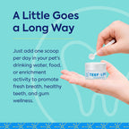 TEEF FOR LIFE Protektin42 Polvo Dental Prebiótico para Perros - 90 Dosis (3 Paquetes)