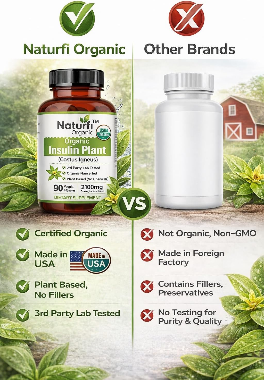 Naturfi Organic Cápsulas de Planta de Insulina (Costus Igneus), USDA Orgánico | Suplemento 100% Natural, 90 Cápsulas Vegetales (1 Mes)
