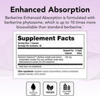 Theralogix Berberina Phytosome Absorción Mejorada – 30 Cápsulas