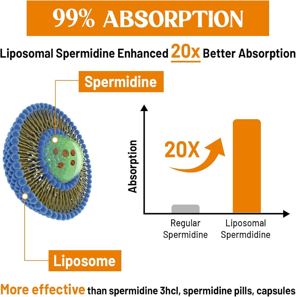 CORPORALIGHT Espermidina 30mg - Suplemento Liposomal de Alta Absorción con Zinc y Tiamina - 120 Cápsulas Blandas