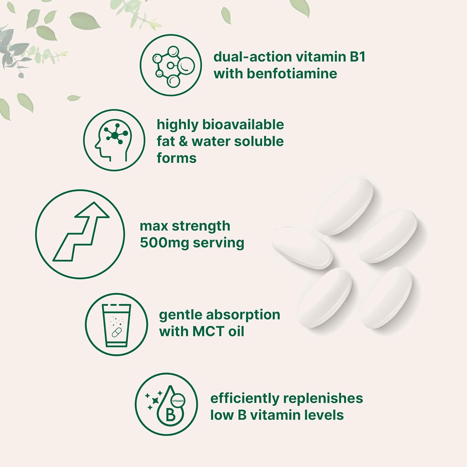 Micro Ingredients Vitamina B1 Tiamina 500mg con Benfotiamina y Aceite MCT, 240 Cápsulas Blandas | Suplemento Altamente Biodisponible para Energía y Sistema Nervioso* | No-GMO, Sin Soja