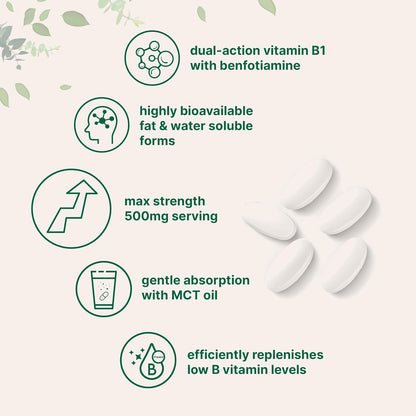 Micro Ingredients Vitamina B1 Tiamina 500mg con Benfotiamina y Aceite MCT, 240 Cápsulas Blandas | Suplemento Altamente – Image 3