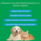 FURIEND Kidney Support – Suplemento Renal Líquido para Perros y Gatos | 59ml