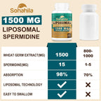 Spermidina 15 mg – 99% Pureza, Alta Absorción – 1500 mg Extracto de Germen de Trigo Fermentado con Zinc y Tiamina – 60 Softgels