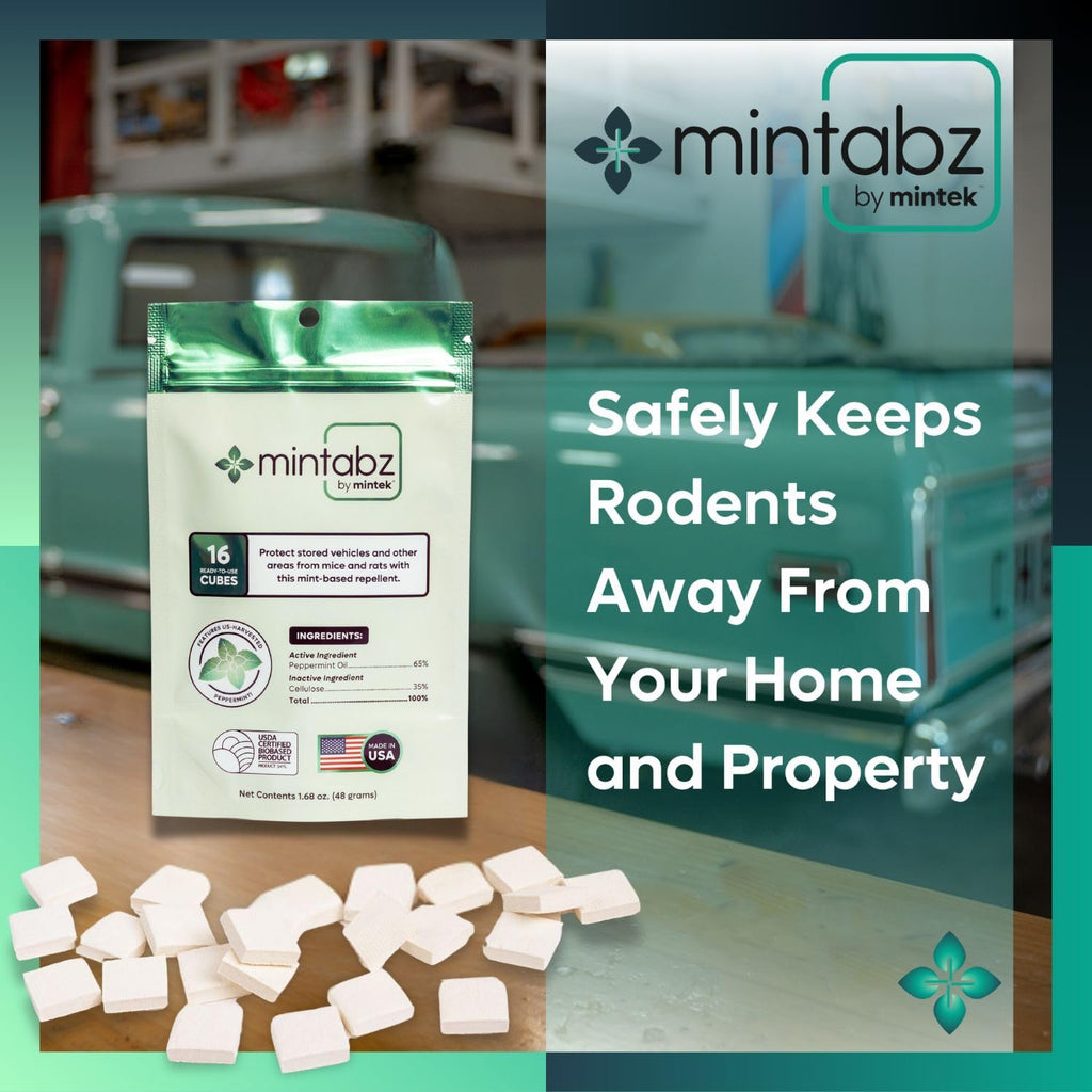 Mintek Mintabz: 24 Cubos Repelentes Naturales de Roedores con Aceite de Menta