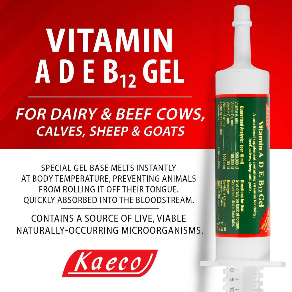 Kaeco Vitamina Ade B12 Gel Oral - 80 ml