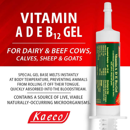Kaeco Vitamin Ade B12 Oral Gel - 80 ml – Formación de glóbulos rojos: Es necesaria para la producción adecuada de – Image 2