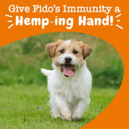 Zesty Paws Allergy Immune Soft Chews + Hemp Seed - 90 Masticables