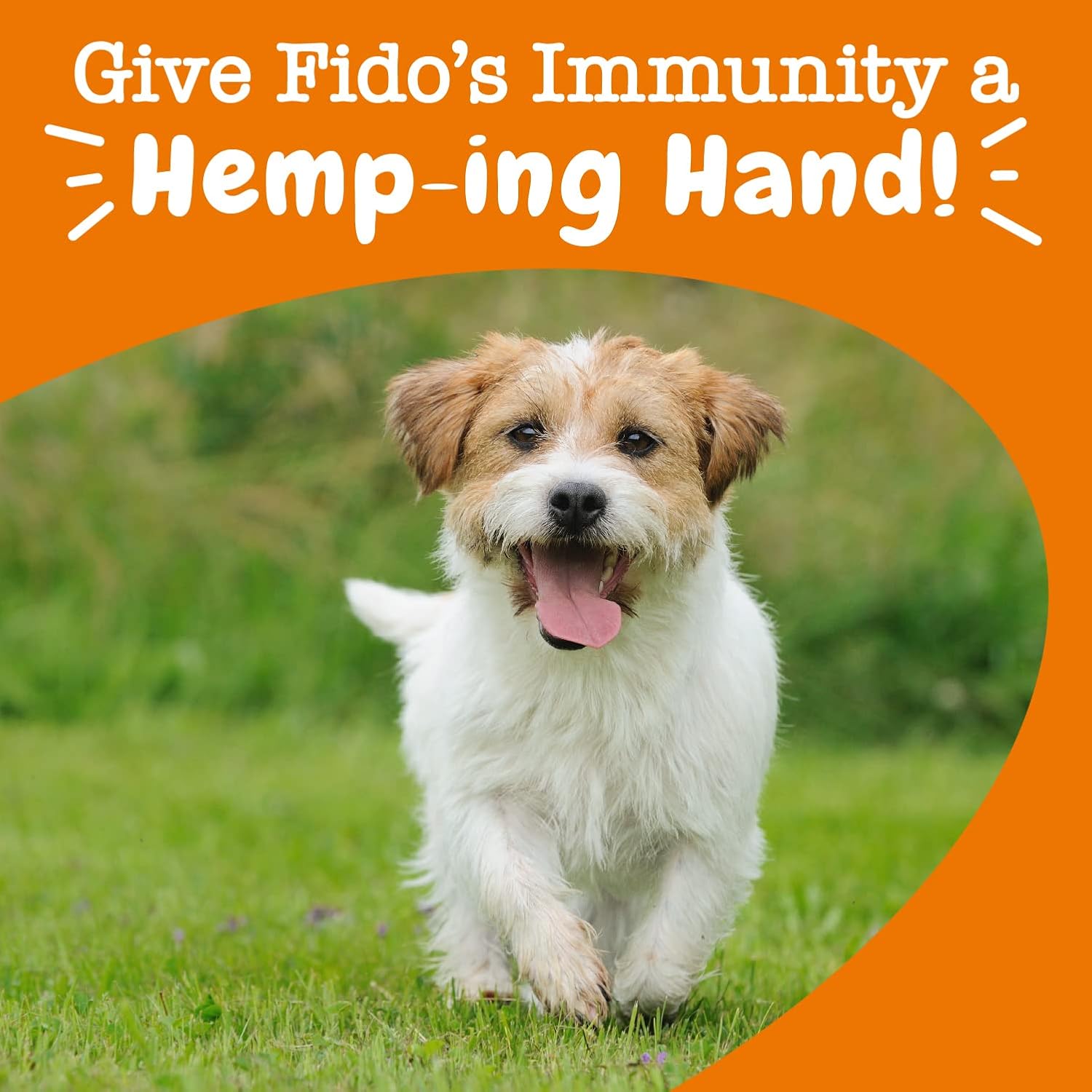 Zesty Paws Allergy Immune Soft Chews + Hemp Seed - 90 Masticables