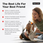 Nutri-Vet Multi-Vite Masticables Multivitamínicos para Perros Adultos - 180 Comprimidos