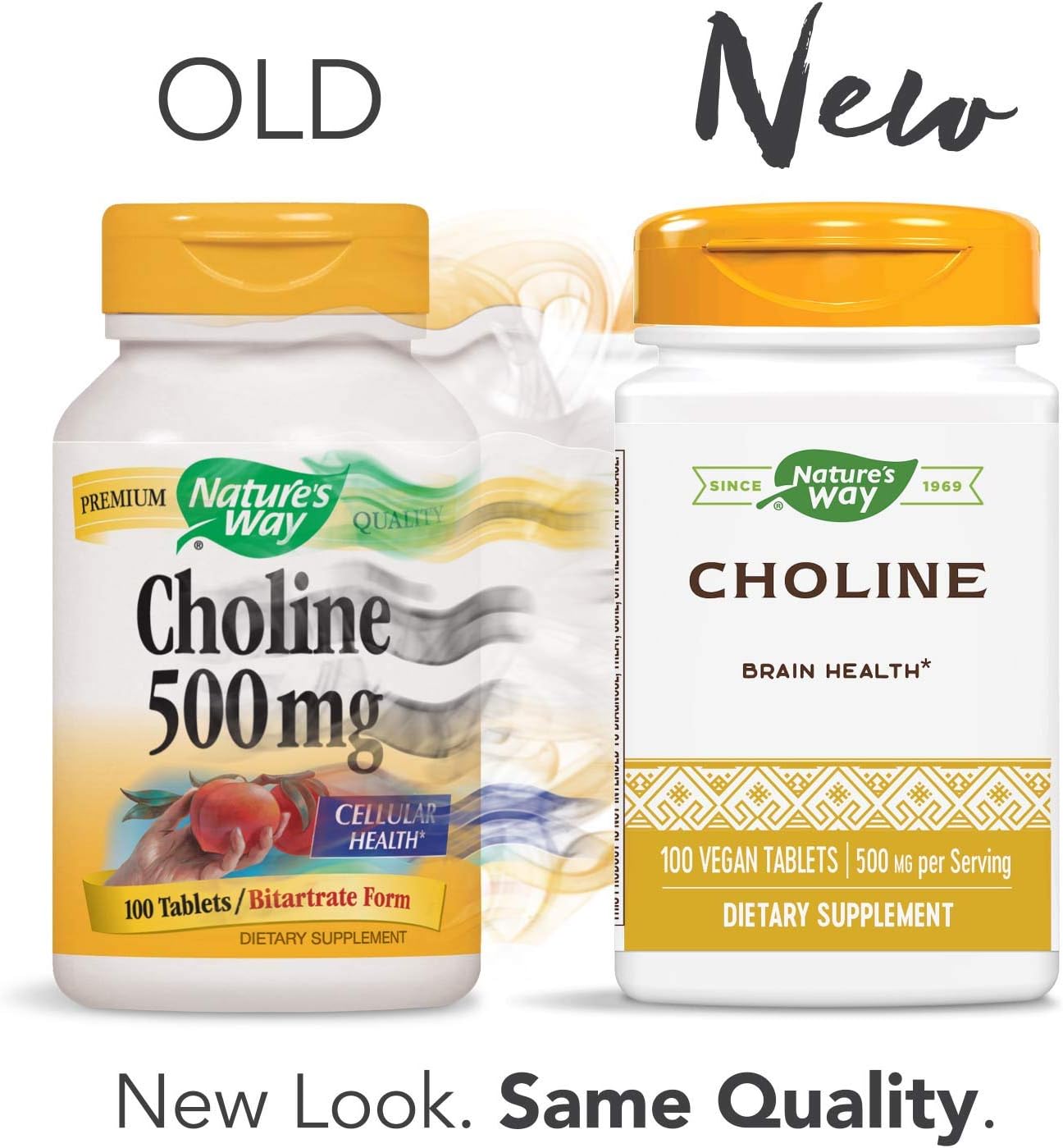 Nature's Way Choline, 500 mg per Serving, 100 Tablets (2-Pack)