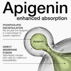 Liposomal Apigenina 100mg – Alta Potencia con Absorción Mejorada – 180 Cápsulas Vegetarianas