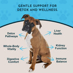 Detox Blend - Suplemento Hepático para Perros y Gatos, Fórmula Herbal Orgánica, Recomendado por Veterinarios, 1 oz