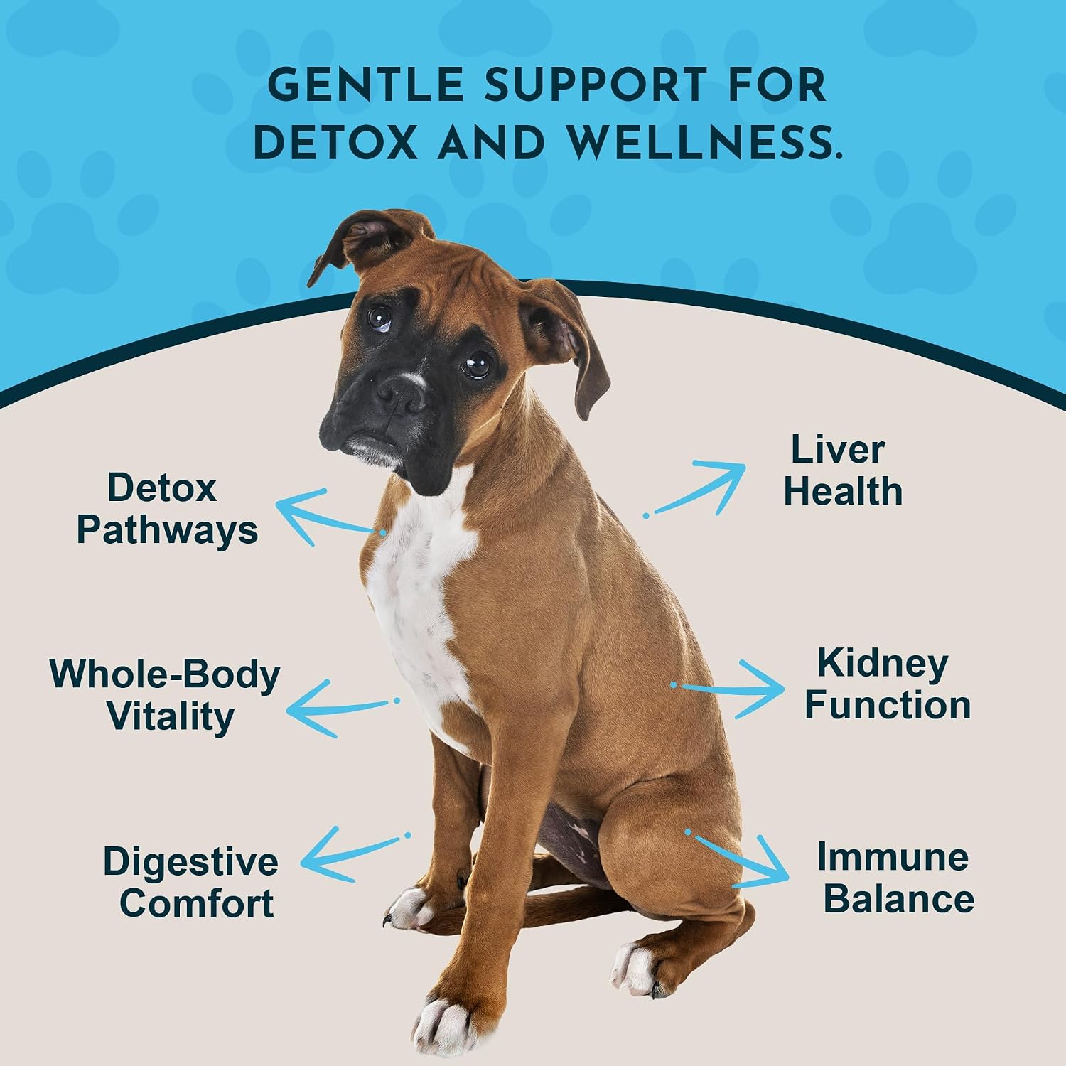 Detox Blend - Suplemento Hepático para Perros y Gatos, Fórmula Herbal Orgánica, Recomendado por Veterinarios, 1 oz